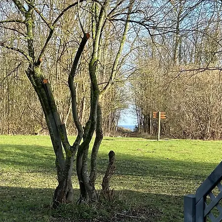 Seepferdchen, 06b, Haus Usedom 6b Nyaraló Ostseebad Nienhagen