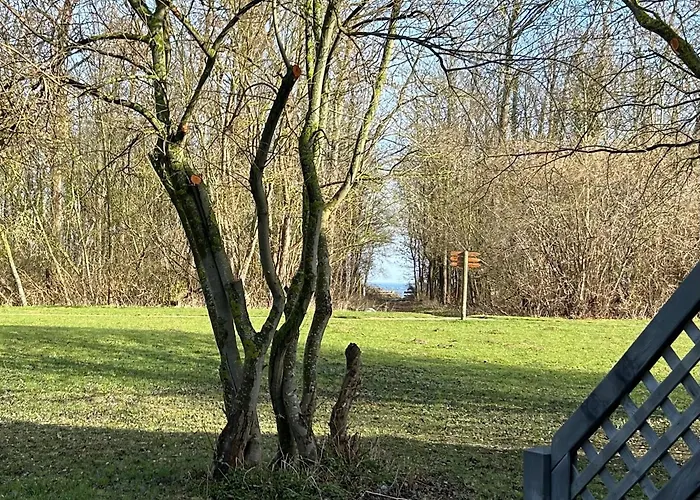 Seepferdchen, 06b, Haus Usedom 6b Nyaraló Ostseebad Nienhagen